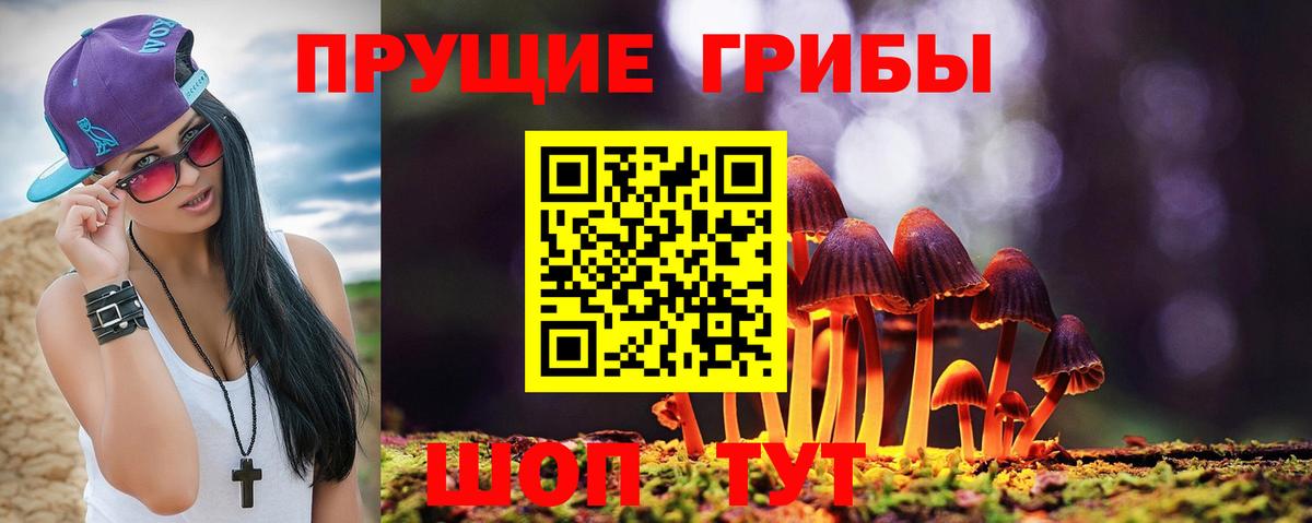 Псилоцибиновые грибы мухоморы  Вход с VPN  Советск 