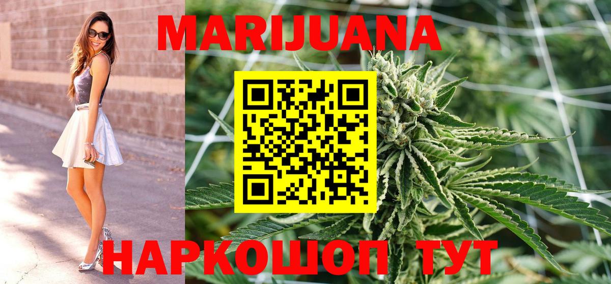 Конопля OG Kush Советск